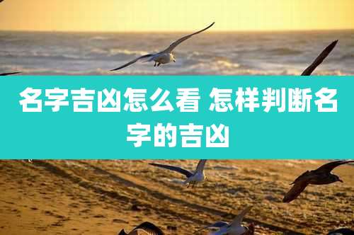 名字吉凶怎么看 怎样判断名字的吉凶