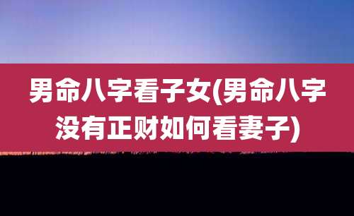 男命八字看子女(男命八字没有正财如何看妻子)