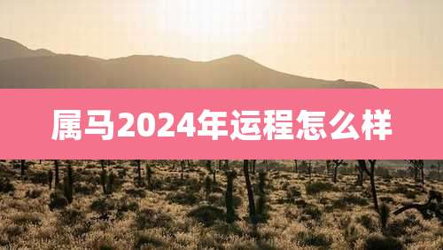 属马2024年运程怎么样