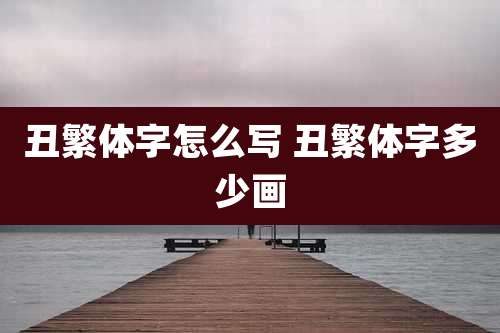 丑繁体字怎么写 丑繁体字多少画