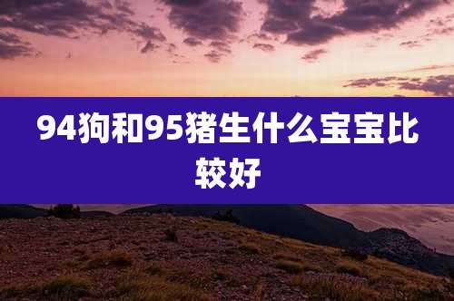 94狗和95猪生什么宝宝比较好