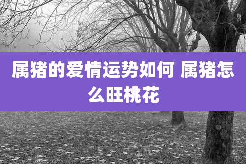 属猪的爱情运势如何 属猪怎么旺桃花