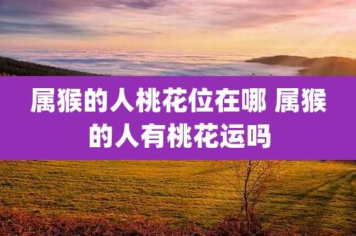属猴的人桃花位在哪 属猴的人有桃花运吗
