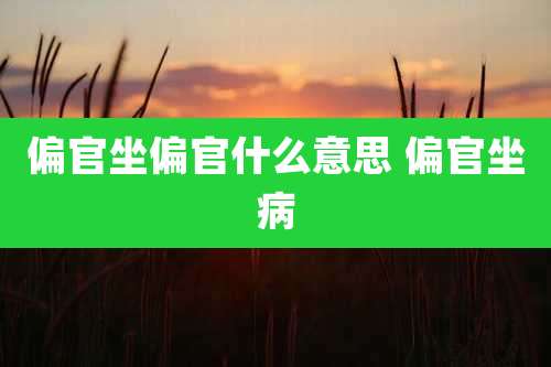 偏官坐偏官什么意思 偏官坐病