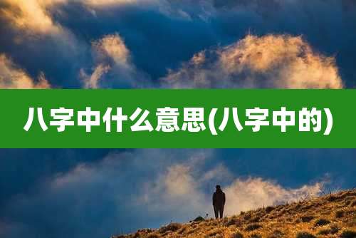 八字中什么意思(八字中的)