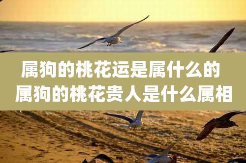 属狗的桃花运是属什么的 属狗的桃花贵人是什么属相