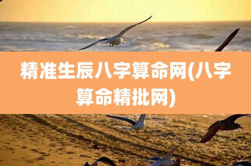 精准生辰八字算命网(八字算命精批网)