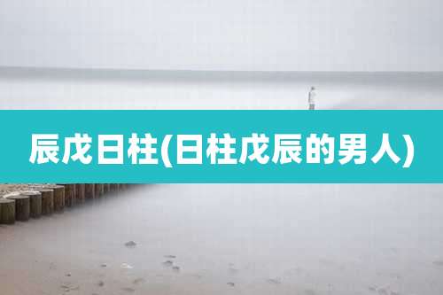 辰戊日柱(日柱戊辰的男人)