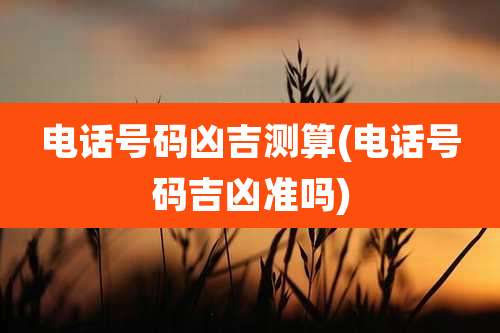 电话号码凶吉测算(电话号码吉凶准吗)