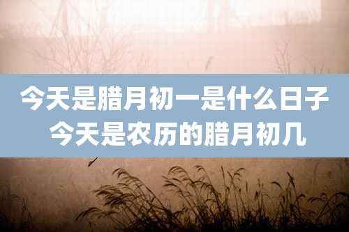 今天是腊月初一是什么日子 今天是农历的腊月初几