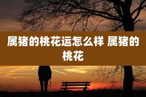 属猪的桃花运怎么样 属猪的桃花