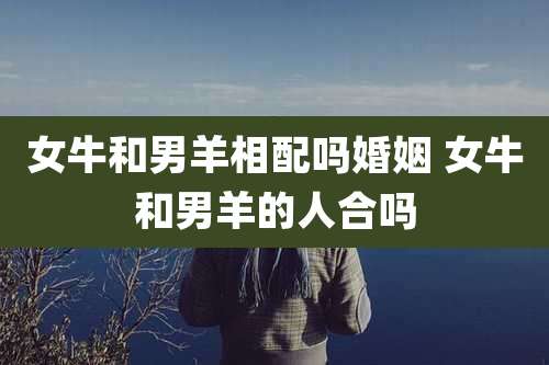 女牛和男羊相配吗婚姻 女牛和男羊的人合吗