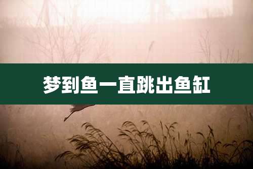 梦到鱼一直跳出鱼缸