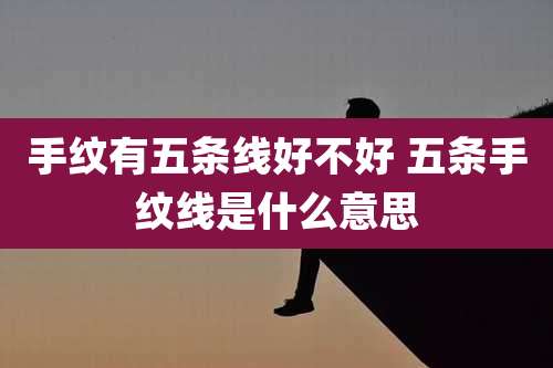 手纹有五条线好不好 五条手纹线是什么意思