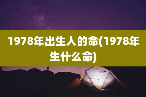 1978年出生人的命(1978年生什么命)