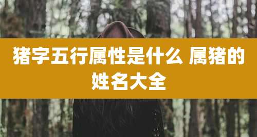 猪字五行属性是什么 属猪的姓名大全