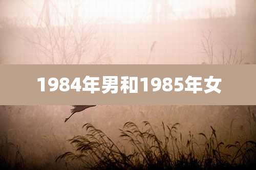 1984年男和1985年女