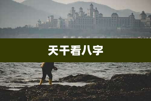 天干看八字