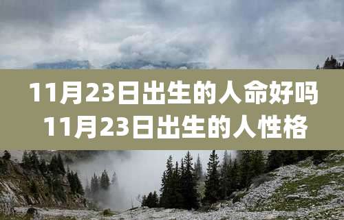 11月23日出生的人命好吗 11月23日出生的人性格
