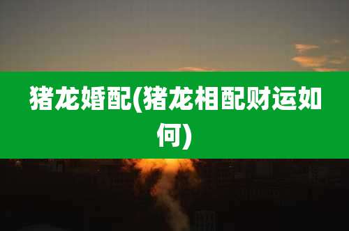猪龙婚配(猪龙相配财运如何)