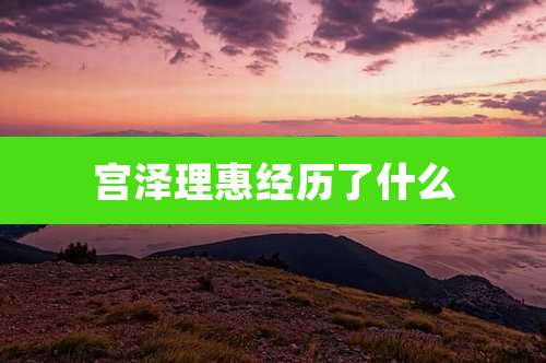 宫泽理惠经历了什么