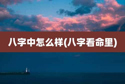 八字中怎么样(八字看命里)