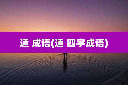 适 成语(适 四字成语)