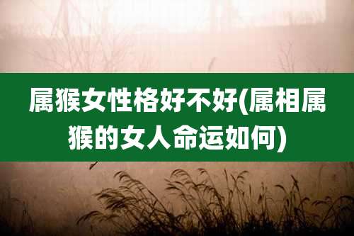 属猴女性格好不好(属相属猴的女人命运如何)