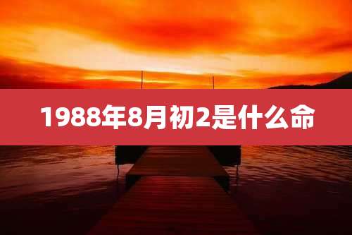 1988年8月初2是什么命
