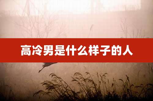 高冷男是什么样子的人