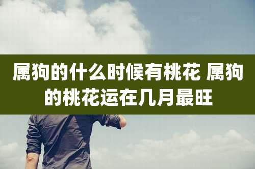 属狗的什么时候有桃花 属狗的桃花运在几月最旺