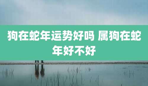 狗在蛇年运势好吗 属狗在蛇年好不好