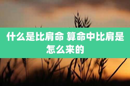 什么是比肩命 算命中比肩是怎么来的