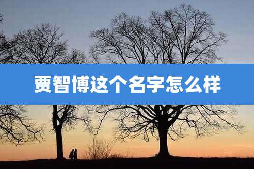 贾智博这个名字怎么样