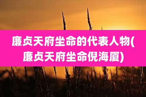 廉贞天府坐命的代表人物(廉贞天府坐命倪海厦)