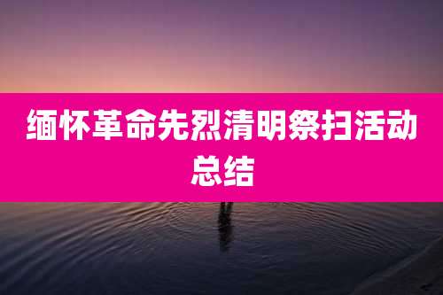 缅怀革命先烈清明祭扫活动总结