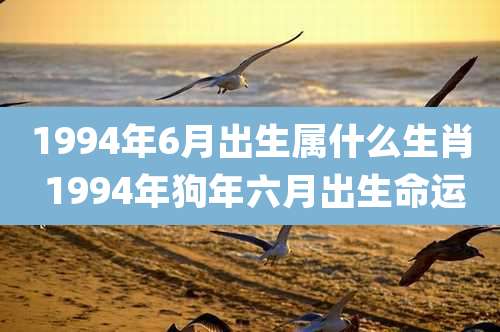 1994年6月出生属什么生肖 1994年狗年六月出生命运