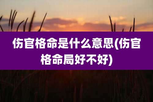 伤官格命是什么意思(伤官格命局好不好)