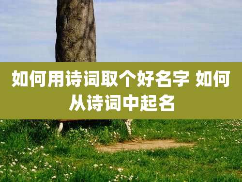如何用诗词取个好名字 如何从诗词中起名