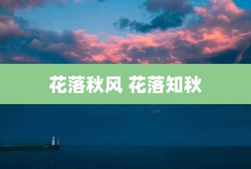 花落秋风 花落知秋