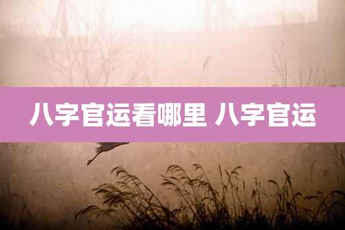 八字官运看哪里 八字官运