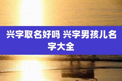 兴字取名好吗 兴字男孩儿名字大全