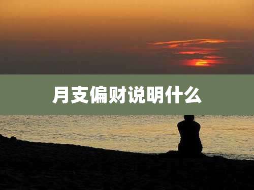 月支偏财说明什么