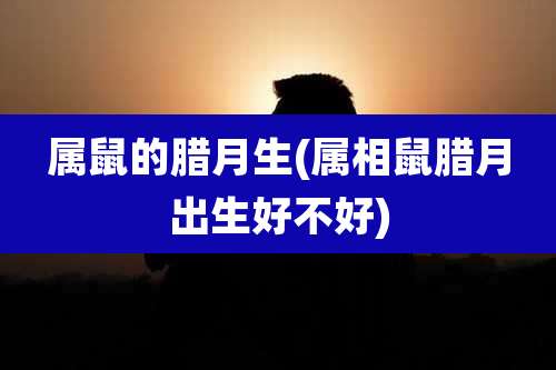 属鼠的腊月生(属相鼠腊月出生好不好)