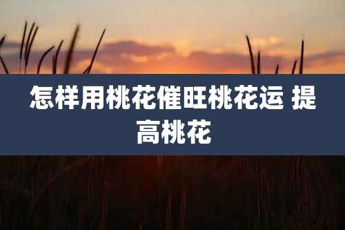 怎样用桃花催旺桃花运 提高桃花