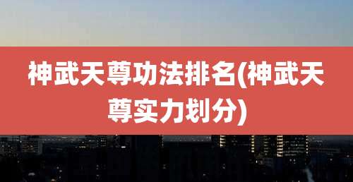 神武天尊功法排名(神武天尊实力划分)