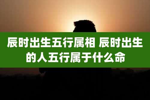 辰时出生五行属相 辰时出生的人五行属于什么命