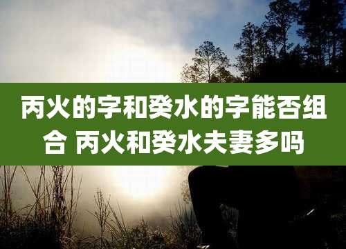 丙火的字和癸水的字能否组合 丙火和癸水夫妻多吗