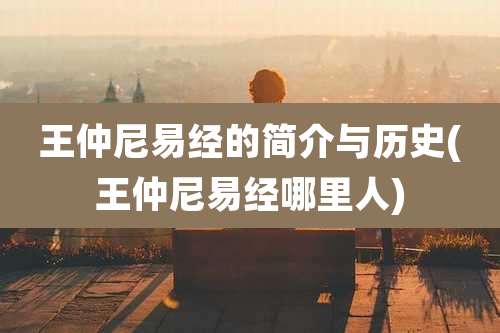 王仲尼易经的简介与历史(王仲尼易经哪里人)