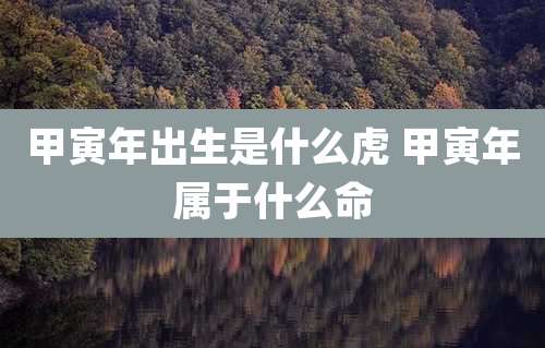 甲寅年出生是什么虎 甲寅年属于什么命